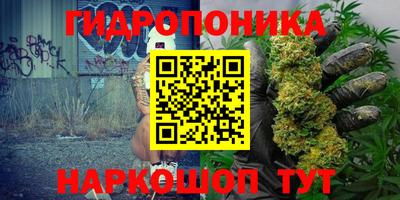 прущие грибы Конаково