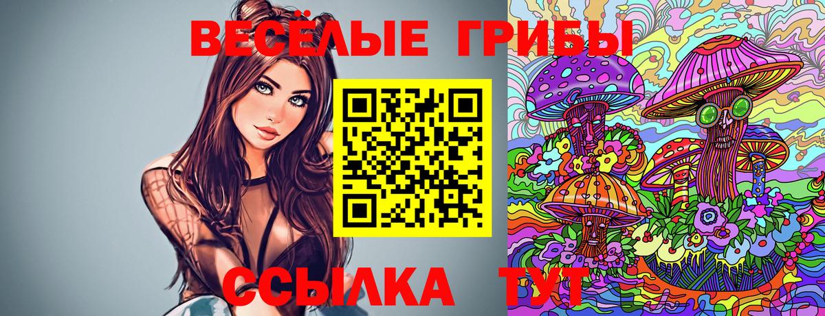 Псилоцибиновые грибы Psilocybe  Вход с VPN  Киров  Галлюциногенные грибы GOLDEN TEACHER 